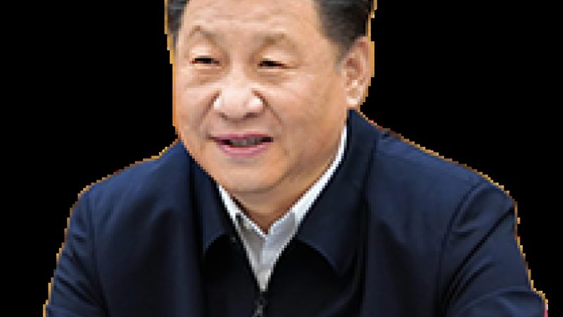 工业添加剂：揭秘其背后的奥秘与应用之道**